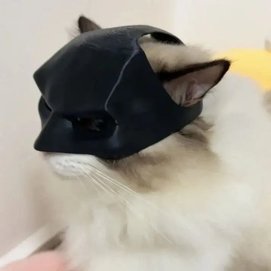 Batman Mask For Your Cat My Store